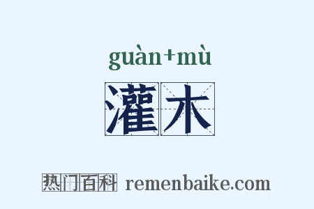 灌木是什么意思的图片